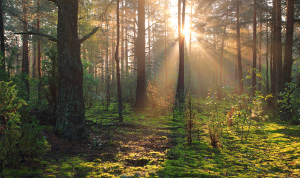 Mental Health Visuals 1