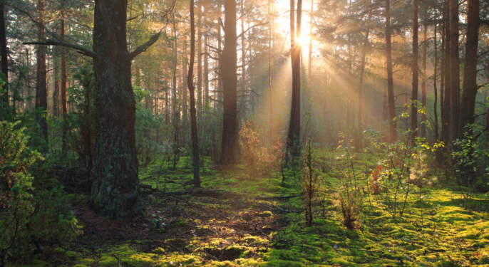 Mental Health Visuals 1